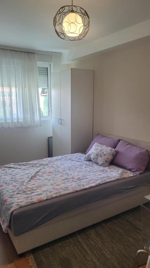 Stan Na Dan Loznica Apartman Kültér fotó